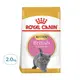 ROYAL CANIN 法國皇家 皇家FBN 英國短毛幼貓乾飼料 BSK38