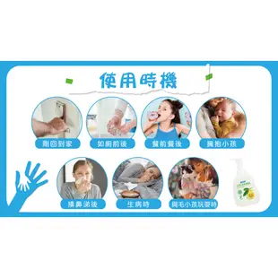 【清淨海】 環保洗手乳350g