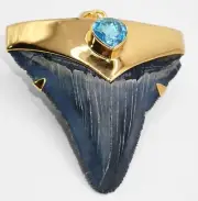 Fossil Shark Tooth Pendant – Megalodon Tooth with 24 K Gold Over Sterling Silver