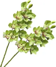 XZJMY 28.4" Artificial Phalaenopsis Flowers,Latex Phalaenopsis Branches,3D Faux Cymbidium Flowers 10 Large Petals Orchids for Home Décor (2, Green)