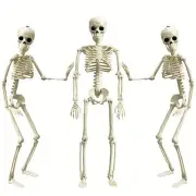 NNETM Set 3pcs 40.64cm Posable Halloween Skeleton Decorations Haunted Houses, Graveyards, and Indoor Outdoor