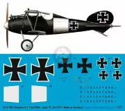 Peddinghaus 1/72 Albatros D.V Markings Paul Billik Jasta 12 June 1917 WWI 3657