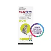 Bravecto Green Flea & Tick Spot-On Treatment 1.2-2.8kg Cat & Kitten 2pk