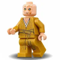 在飛比找蝦皮購物優惠-LEGO 樂高 星際大戰人偶 sw856 軍團斯諾克 751