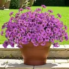 48 Bundles Outdoor Artificial Flowers UV Resistant Fake Silk Flowers Faux Pla...