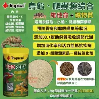 在飛比找蝦皮購物優惠-帥哥水族【Tropical】德比克 Tropical烏龜  