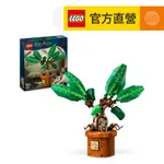 LEGO樂高 哈利波特系列 76433 魔蘋果