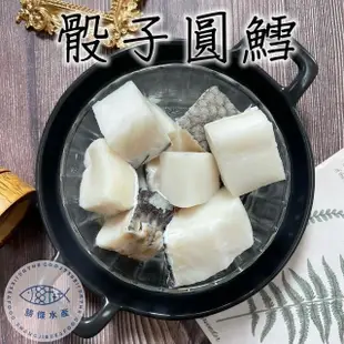 【SHANG JIE SEAFOOD 勝傑水產】骰子圓鱈-犬牙南極魚300g*2包組(西餐料理/深海食材)