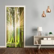 Self adhesive Door wrap removable Peel & Stick Landscapes Sun in the forest