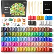 117 PCS Small Block Polymer Clay Kit 95 Unique Colors Extra Basic Colors 5 Tools