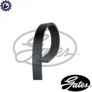 VRIBBED BELT 6PK1198 FOR RENAULT MEGANE/CC/III/Hatchback/Grandtour/Van/Combi