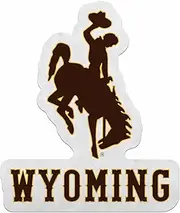 Rico Industries NCAA Wyoming Cowboys Primary Shape Cut Pennant - Home and Living Room Décor - Soft Felt EZ to Hang