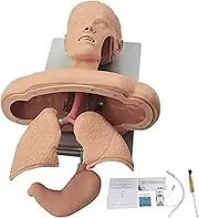 Advanced Oral Nasal Intubation Manikin,Intubation Manikin Airway Management Trainer,with Tooth Alarm Device Simulator Airway Management Trainer Intubation Head Teaching
