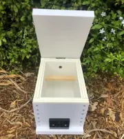 Stingless Native Bee Hive OATH BeeHive Viewing