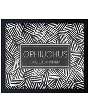 Ready2HangArt ChiChi Zodiac Framed Print Wall Art - Ophiuchus by ChiChi Decor
