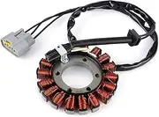 Motorcycle Generator Stator Coil Compatible with BMW S1000RR S1000 RR K67 2018-2020 S1000XR S 1000 XR K69 2018 2019 12318396695 12318404476