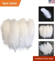 Versatile White Goose Feathers Pack of 50 - Perfect for Parties & DIY Projects