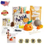 Mini Pottery Kit for Adults - Air Dry Clay, Paints & Tools with Online Tutorial