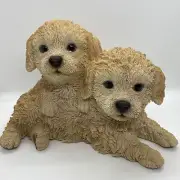 CAVOODLE STATUE CREAM PUPPY DOG ANIMAL GARDEN ORNAMENT SCULPTURE MONAY BOX