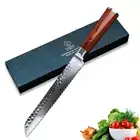 Bread Knife 67 Layers Damascus Steel Wood Handle Hammered Serrated Cake Slicing