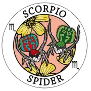 Auz Astrology – The Australian Animal Zodiac CAR STICKER - SCORPIO (SPIDER) 2022