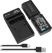 HTYCSCZ NP-FV50 Replacement Battery (2-Pack) and Portable USB Charger Kit for Sony PJ430V, PJ540, PJ580V, PJ650V, PJ710V, PJ760V, PJ790V, PJ810, TD20V, TD30V (7.4V, 1050mAh)