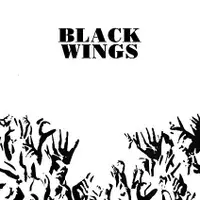 在飛比找誠品線上優惠-Black Wings