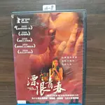 正版DVD華語《漂浪青春》趙逸嵐 房思瑜 陸弈靜【超級賣二手片】