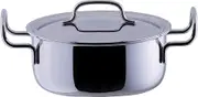 Miyazaki Manufacturing GEO-22T Paint Geo Two-Handed Pot, 8.7 inches (22 cm), Made in Japan, IH Compatible, All Heat Sources, Silver