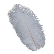 Exquisite Ostrich Feather Crafts Pack of 10 for Table Decor and Designs