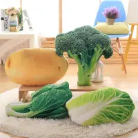 在飛比找蝦皮購物優惠-【日本良品】超軟抱枕美食蔬菜香菜白菜大蔥西藍花迴彈 MDKQ