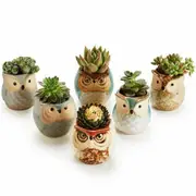 6pcs Cute Owl Flower Planter Flowerpot Succulent Plant Pot Home Garden Supply