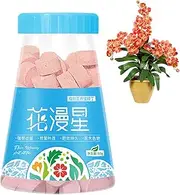 Poupangke House Plant Fertilizer Indoor,Plant Food Nutrient Tablets | House Plant Fertilizer, Plant Root Stimulator for Indoor Potted Plants, Home Outdoor, Healthy Flower