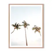 3 Palms Framed Printed Wall Art - Timber