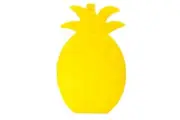 IS Gift Ice Pack - Pineapple - for Cooler and Lunch Box