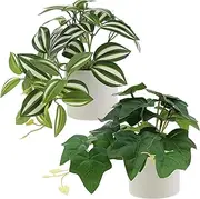 Gresorth 2 Pack Artificial Ivy Plant Potted Decoration Fake Peperomia Watermelon Vine Hanging Ornament Realistic Landscape for Shelf Livingroom Wedding