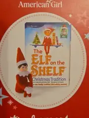 AMERICAN GIRL TRULY ME BOY ELF ON THE SHELF SET BNIB **2024**