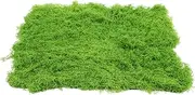 POPETPOP Artificial Moss Like Simulation Turf Grass for Garden Decor Realistic Fake Moss Pad for Indoor and Outdoor Landscape for Potted Plants and DIY Projects
