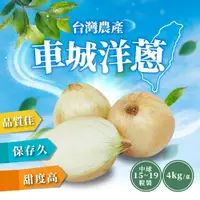 在飛比找蝦皮商城優惠-【家購網嚴選】屏東車城洋蔥-中球 4Kg/盒(15-19顆/