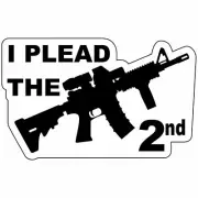 I Plead The 2nd Second Amendment - 4x2.5 inch Sticker