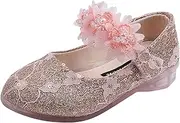 Lace Floral Mary Jane Shoes for Toddler Girls Wedding Party Princess Shoes Flat Ballerina Shoes for Little Kid Big Kid