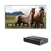 Winways 120" ALR Fixed Frame Short Throw Projector Fresnel Screen