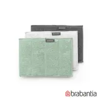 在飛比找momo購物網優惠-【Brabantia】碳纖維清理墊3入(仙綠色)