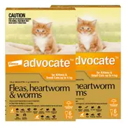 Advocate for Cats For Kittens & Small Cats Up To 4Kg (Orange) 12 Pipettes