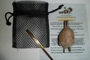 One Praying Mantis Egg Cases + FREE HATCHING BAG 2025 Season