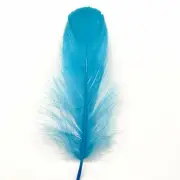 Goose Nagoire Feathers 10 grams - Aqua