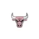 NBA Store X CiPU聯名刺繡貼 公牛隊