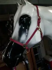Burgandy Wine Biothane Cob Size Horse Stable Halter Solid Brass Hardware