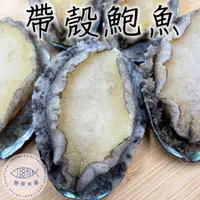 在飛比找鮮拾優惠-【勝傑水產】 20粒帶殼鮑魚5包組(1KG/包)