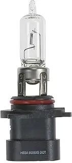 Champion BP9005XS Light Bulb - Multi-Purpose, 1 Pack